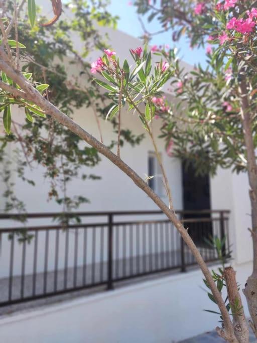 Villa Giannis House à Nea Nea Makri Extérieur photo